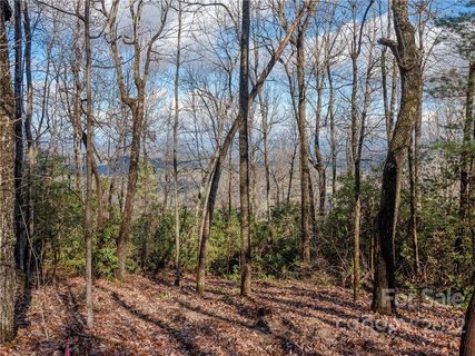 000 Pinnacle Mountain Road sold lot in Bear Rock Mtn Estates, Hendersonville, NC
