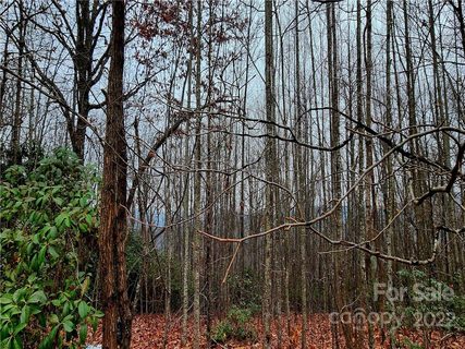 9 Fire Fly Lane 70 sold home in High Peak Lake Estates, Hendersonville, NC