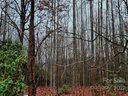 9 Fire Fly Lane 70 sold home in Hendersonville, SC
