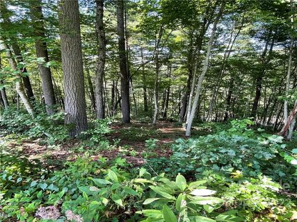 19 Villa Nova Drive 3 sold home in Ventana, Asheville, NC