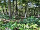 19 Villa Nova Drive 3 sold home in Asheville, SC