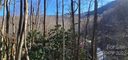 Lot 3 Friar Tuck Lane sold home in Maggie Valley, SC