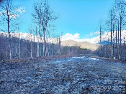 138 Fairlane Loop Lt 19 sold lot in Torwood, Whittier, NC