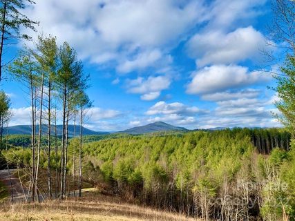 8 34 Acres Lot 753 Painted Ridge Trail