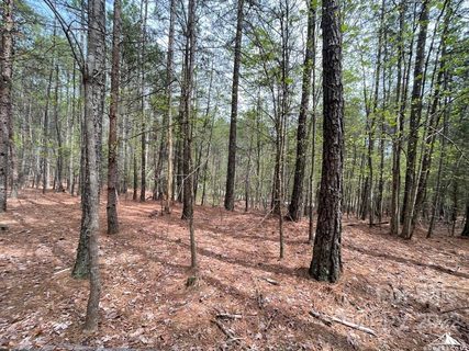 0 Jons Forest Drive Lot 8