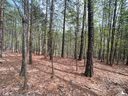 0 Jons Forest Drive Lot 8 sold home in Nebo, SC