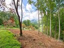 00 Club Drive 7 sold home in Canton, SC