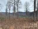 0000 Glen Haven Cove 67 sold home in Hendersonville, SC