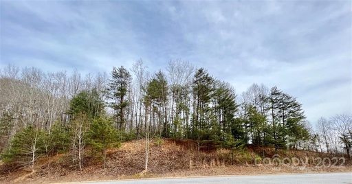 2 19 Acres Lot 48 Round Rock Road
