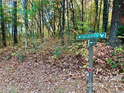 Tbd Tellico Lane S 7 L006
