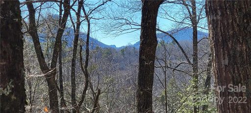 Lot 91 Black Oak Drive