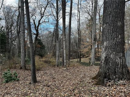118 Springdale Avenue sold home in Biltmore Pines, Asheville, NC