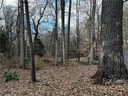 118 Springdale Avenue sold home in Asheville, SC