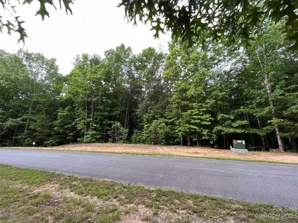 Tbd Poplar Bluff Drive 40