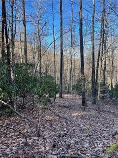 2919 Preserve Road 103
