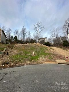 2153 Middlebridge Court 112 sold lot in Chadwyck, Fort Mill, SC