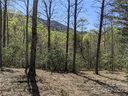 C28 Nuthatch Lane sold home in Black Mountain, SC