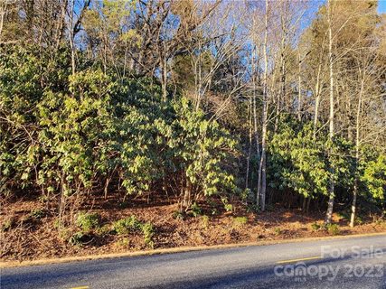 99999 Fairview Forest Drive