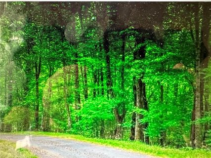 0 Lake Park Drive Lot #11 & Lot #12 The Res sold lot in The Reserve, Burnsville, NC