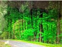 0 Lake Park Drive Lot #11 & Lot #12 The Res sold home in Burnsville, SC