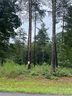 3146 Bear Paw Avenue 38 sold home in Valdese, SC