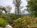 7 Magnolia View Trail sold home in Asheville, SC