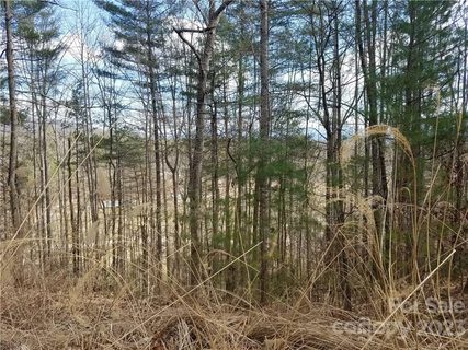Lot 18 Scarlett Ridge Drive sold home in Petersburg Crossing, Marshall, NC