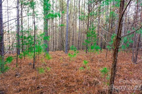 Lot 11 Destiny Drive sold lot in Contuck Preserve, Mill Spring, NC