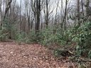 000 Holland Drive sold home in Maggie Valley, SC