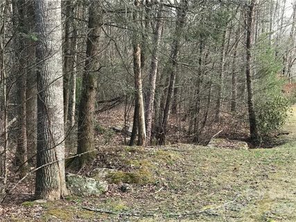 868 Wash Freeman Road