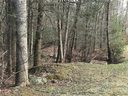 868 Wash Freeman Road sold home in Hendersonville, SC