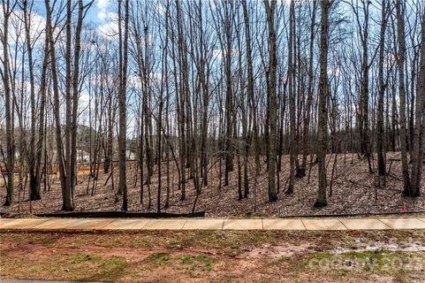 Lot 17 Brancer Lane