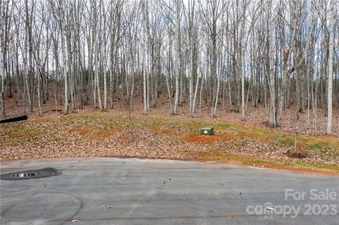 Lot 10 Brancer Lane