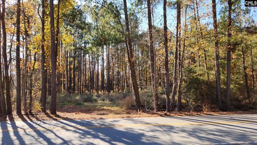 2225 Old Cherokee Road Lot #3 active home in Avery Pines, Lexington, SC