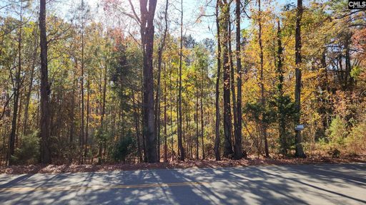 2229 Old Cherokee Road Lot #4 active home in Avery Pines, Lexington, SC