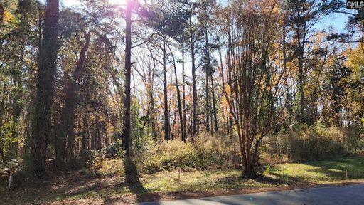 Homes in Avery Pines, Lexington