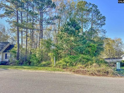Homes in Honeytree Glenn, Columbia