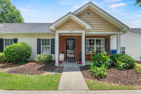 Homes in Agape Village, West Columbia