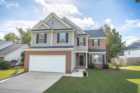 208 Blue Mountain Drive