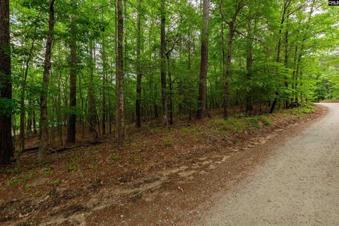 1427-1 Buck Hill Landing Road active home in Lake Wateree, Ridgeway, SC