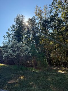 761 Carolina Aster Drive pending home in Cobblestone Park, Blythewood, SC
