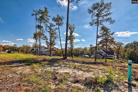 183 Coopers Nursery Rd active land listing in Woodcreek Farms, Elgin, SC