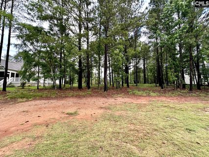 513 Misty Banks Drive active home in Whitewater Landing, Chapin, SC