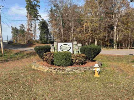 A home in Saluda Waters Point