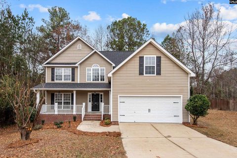 311 Vermillion Drive