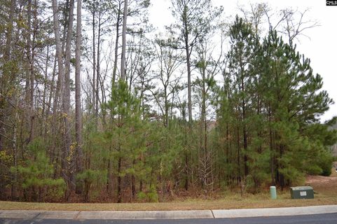 9 Nautical Drive pending home in Lake Wateree, Camden, SC