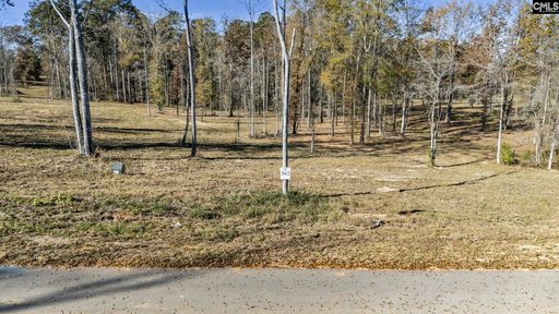 0 Navigator Trail active home in Breakwater At Woodside Shores, Prosperity, SC