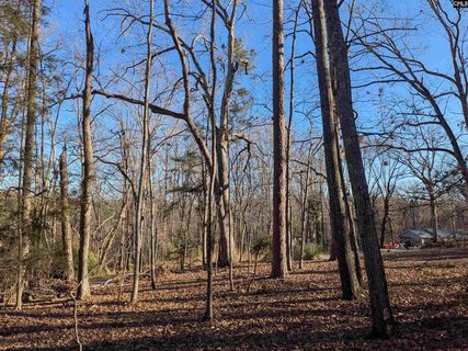 Dogwood Avenue