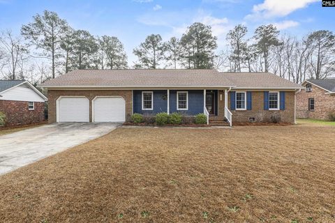 117 Sunny Vista Drive
