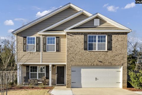 Homes in Rushton, Chapin